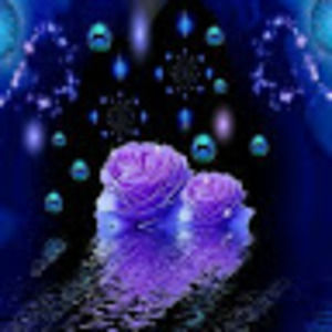 Meet your Posher, Shay